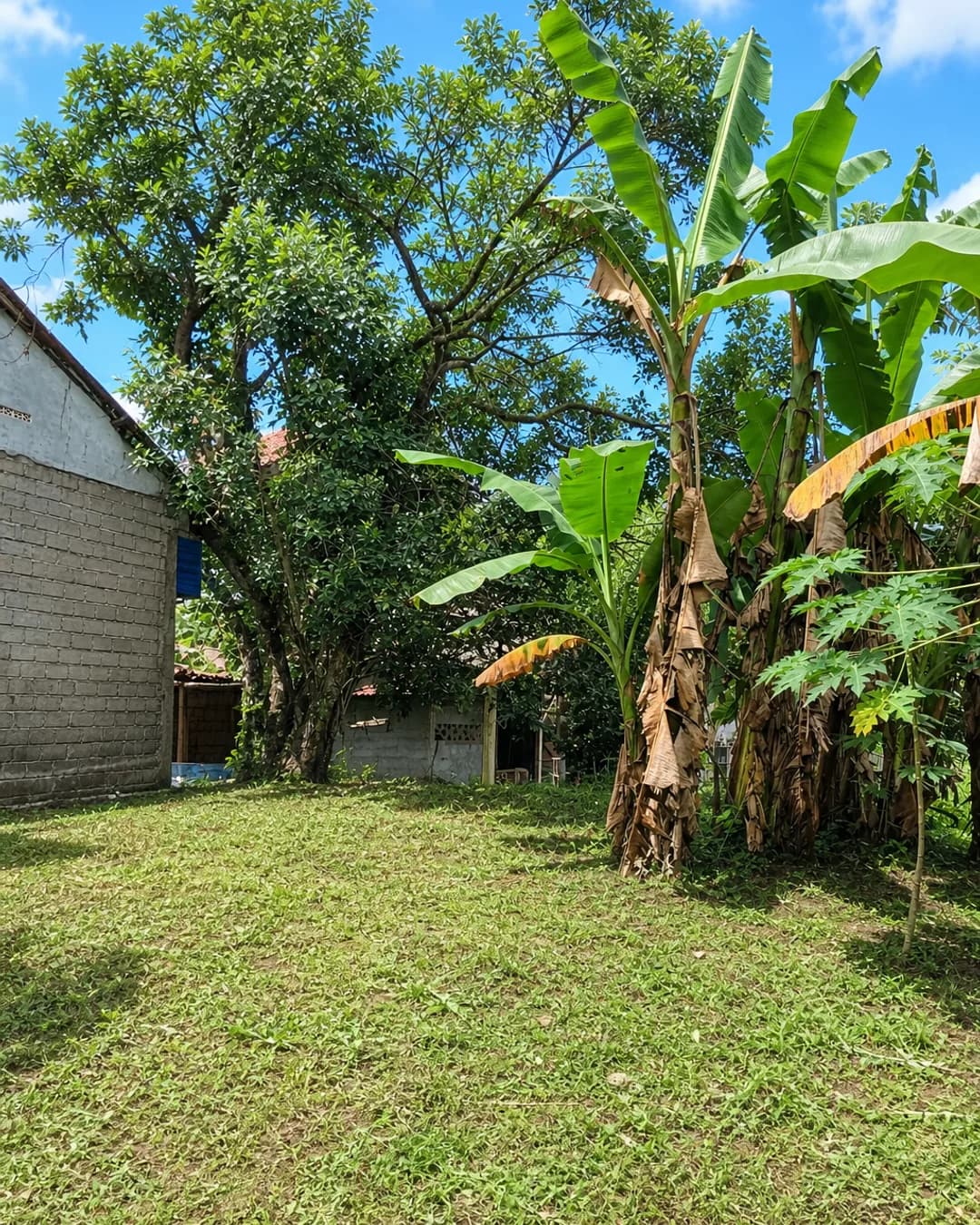 Foto 3 Rumah Dijual di Gunung Sindur di Gunung Sindur