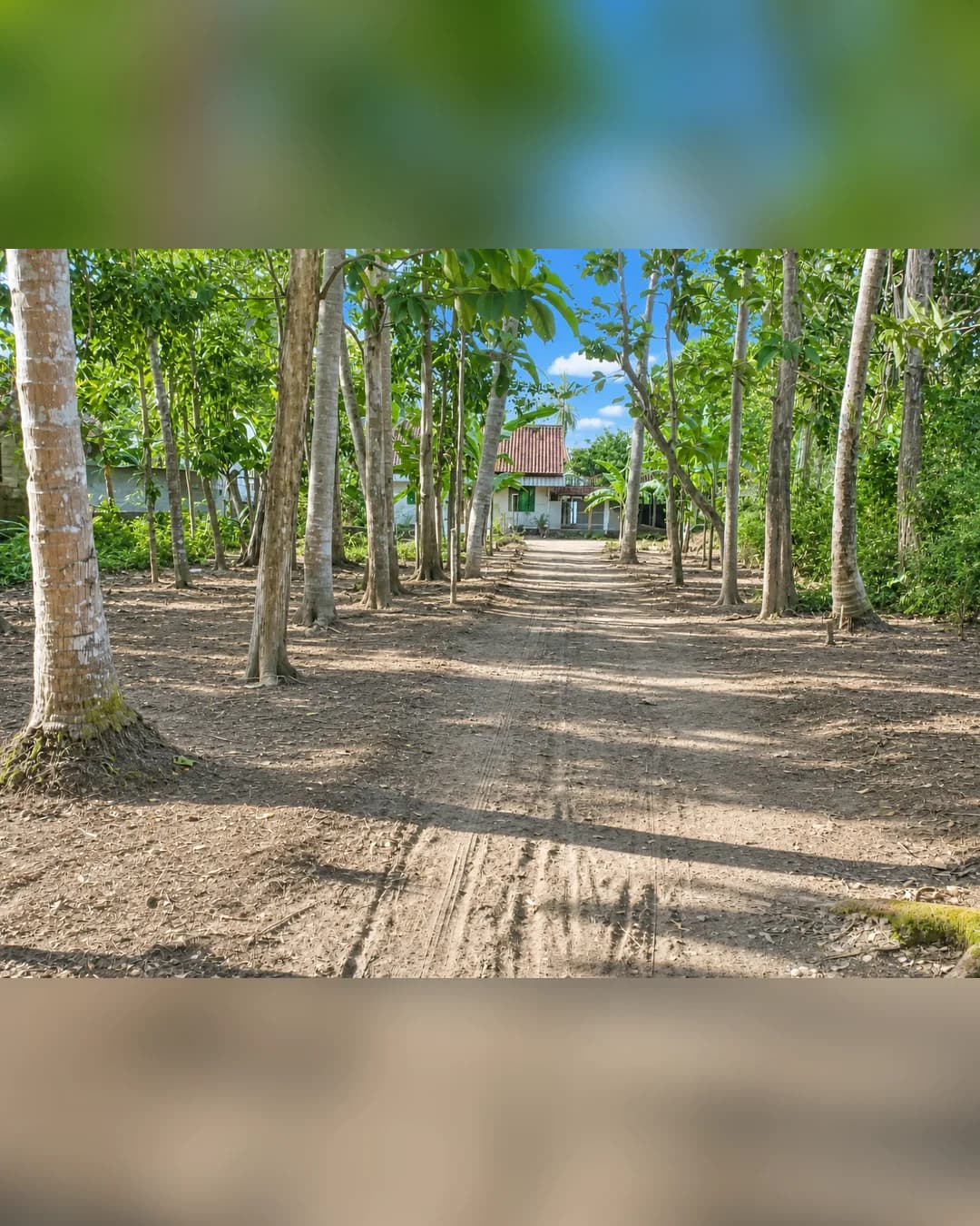 Foto utama Dijual Pekarangan Luas 1.540 m2 SHM Bonus Rumah di Purwodadi Purworejo di Purwodadi
