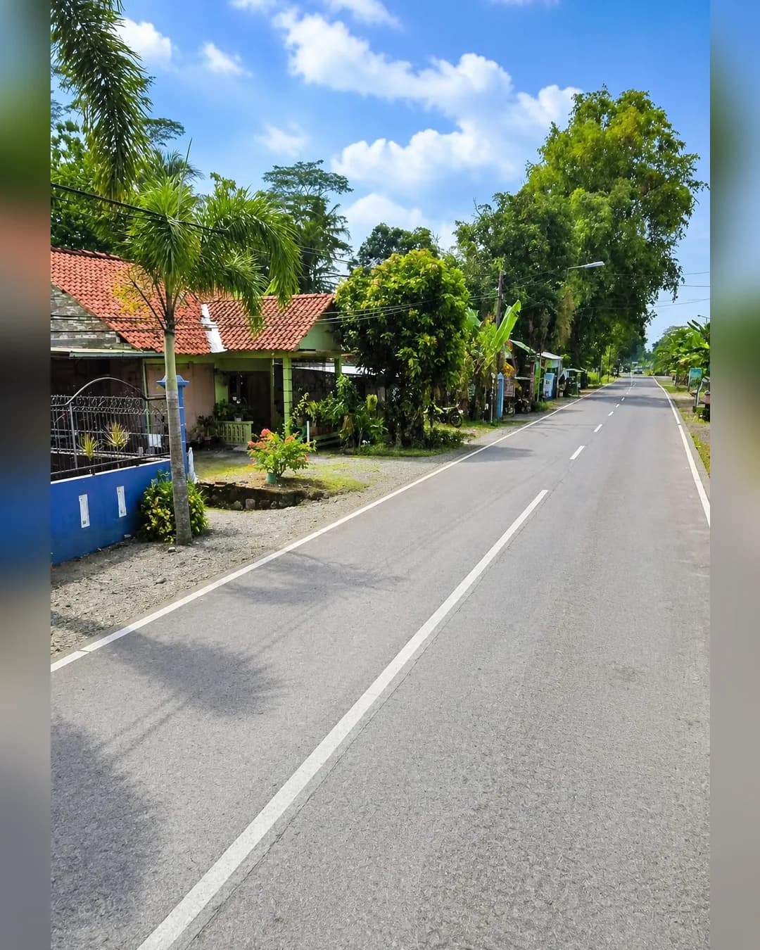 Foto 2 Dijual Pekarangan Luas 1.540 m2 SHM Bonus Rumah di Purwodadi Purworejo di Purwodadi