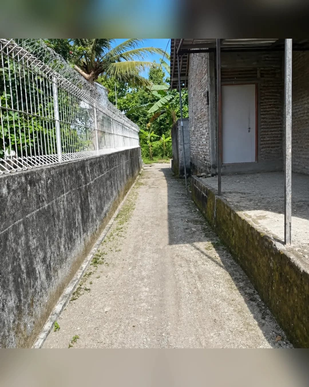 Foto 3 Dijual Pekarangan Luas 1.540 m2 SHM Bonus Rumah di Purwodadi Purworejo di Purwodadi