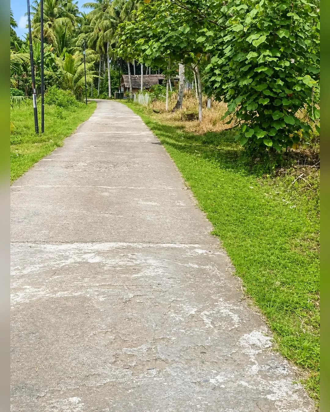 Foto 3 Tanah Dijual di Cijulang di Cijulang
