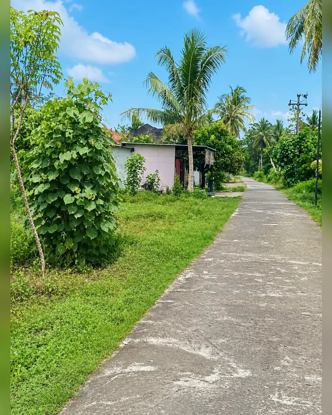 Foto 2 Tanah Dijual di Cijulang di Cijulang