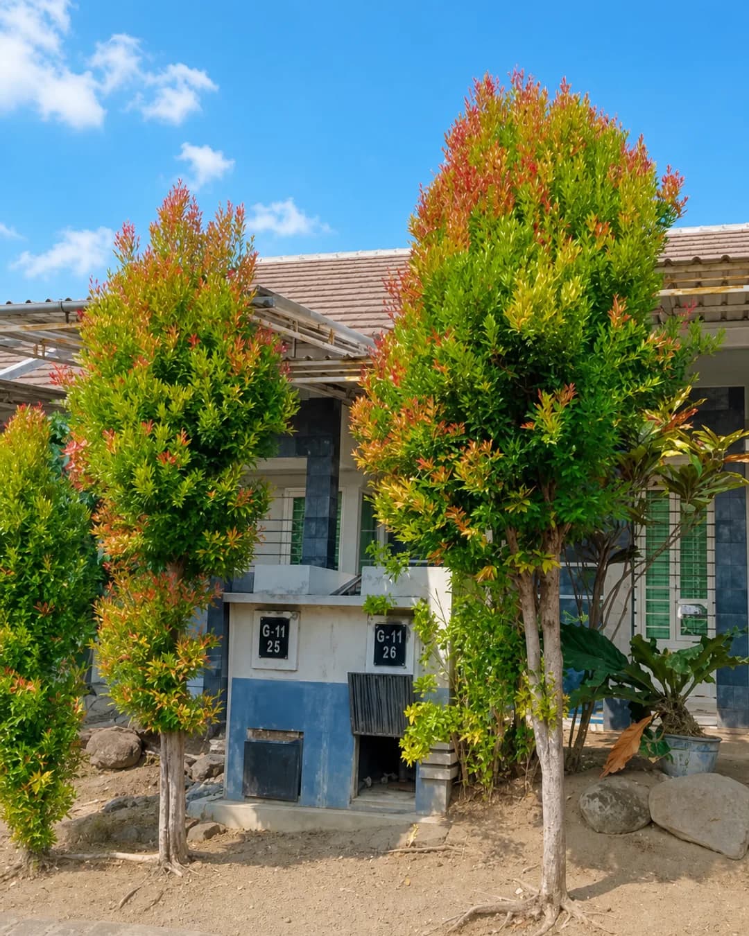 Foto 2 Rumah Dijual di Malang di Lawang