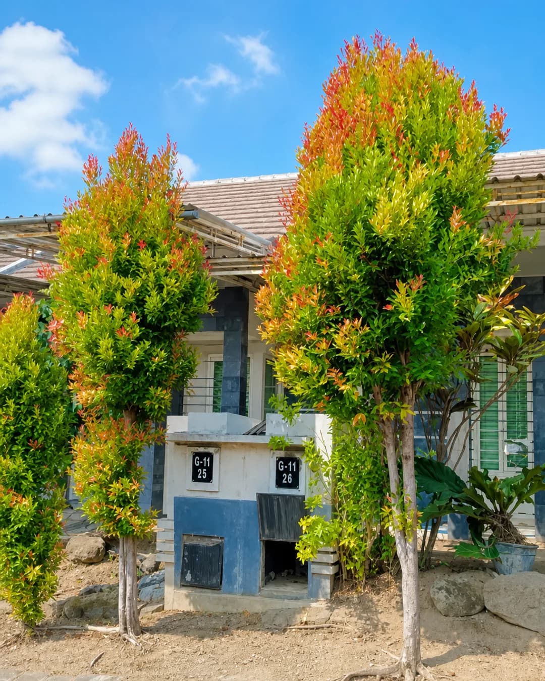 Foto utama Rumah Dijual di Malang di Lawang