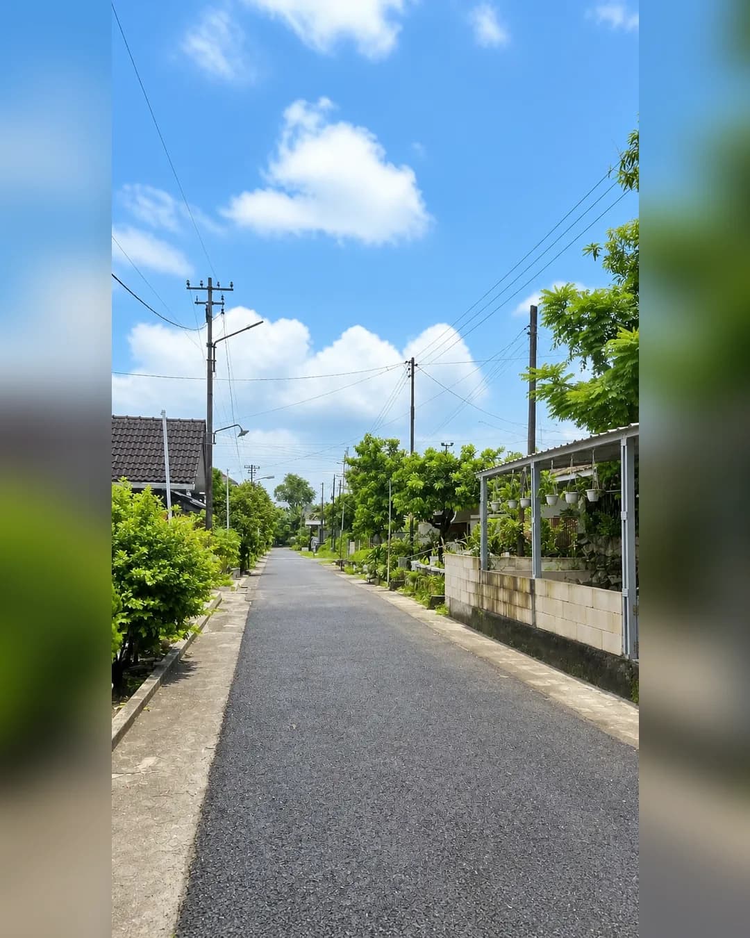 Foto utama Tanah Dijual di Ngaliyan di Ngaliyan