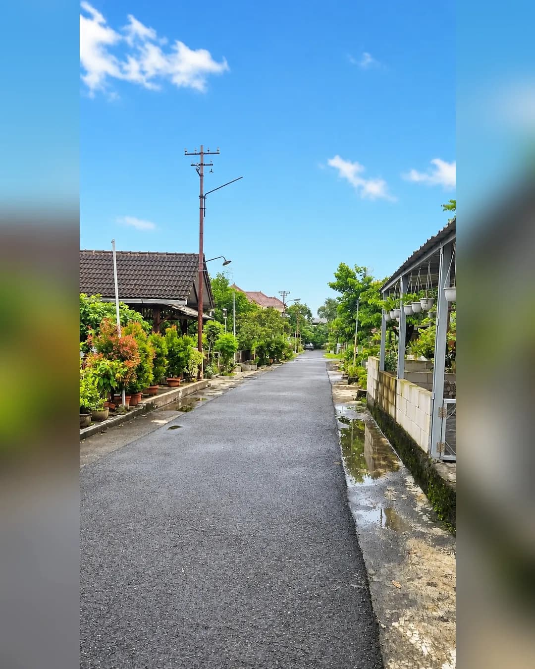 Foto 3 Tanah Dijual di Ngaliyan di Ngaliyan