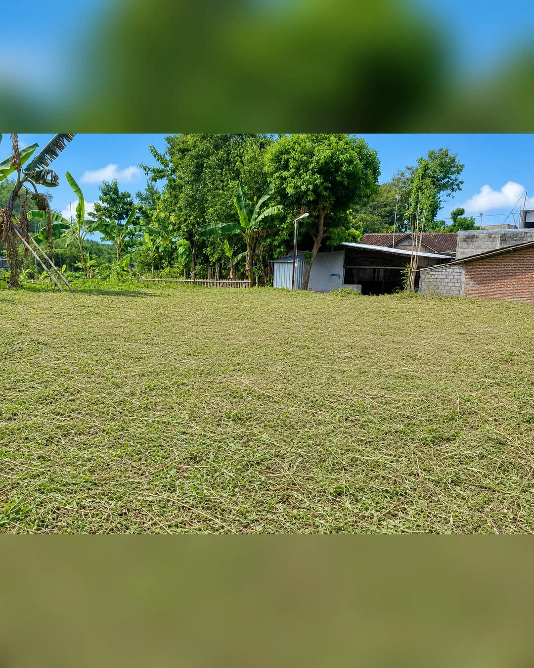 Foto utama Tanah Dijual di Banjarsari di Banjarsari