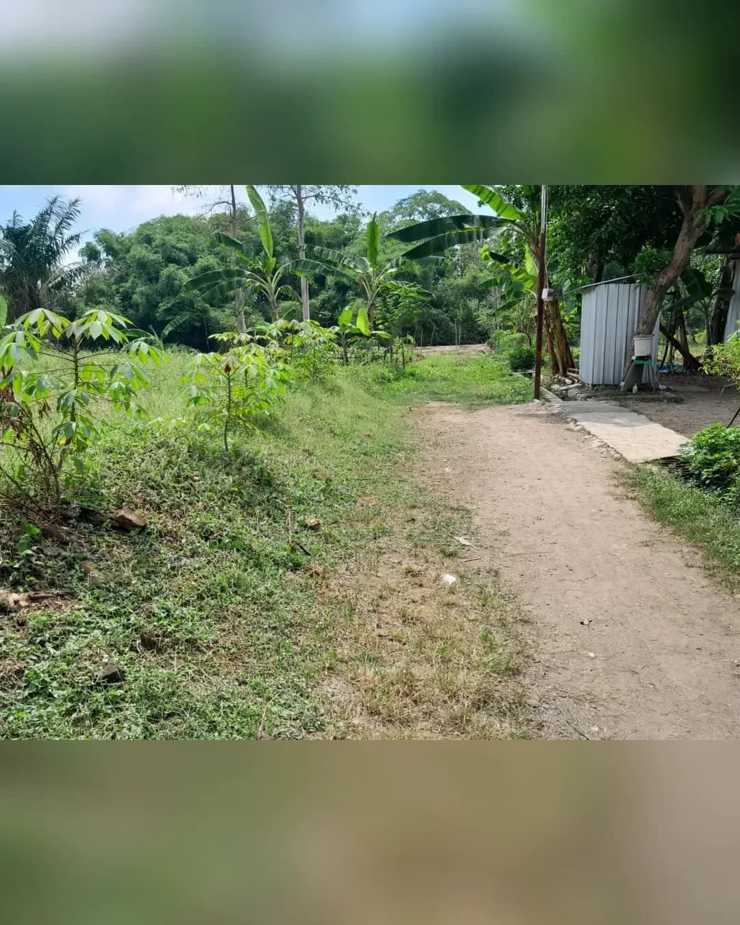 Foto 5 Tanah Dijual di Banjarsari di Banjarsari