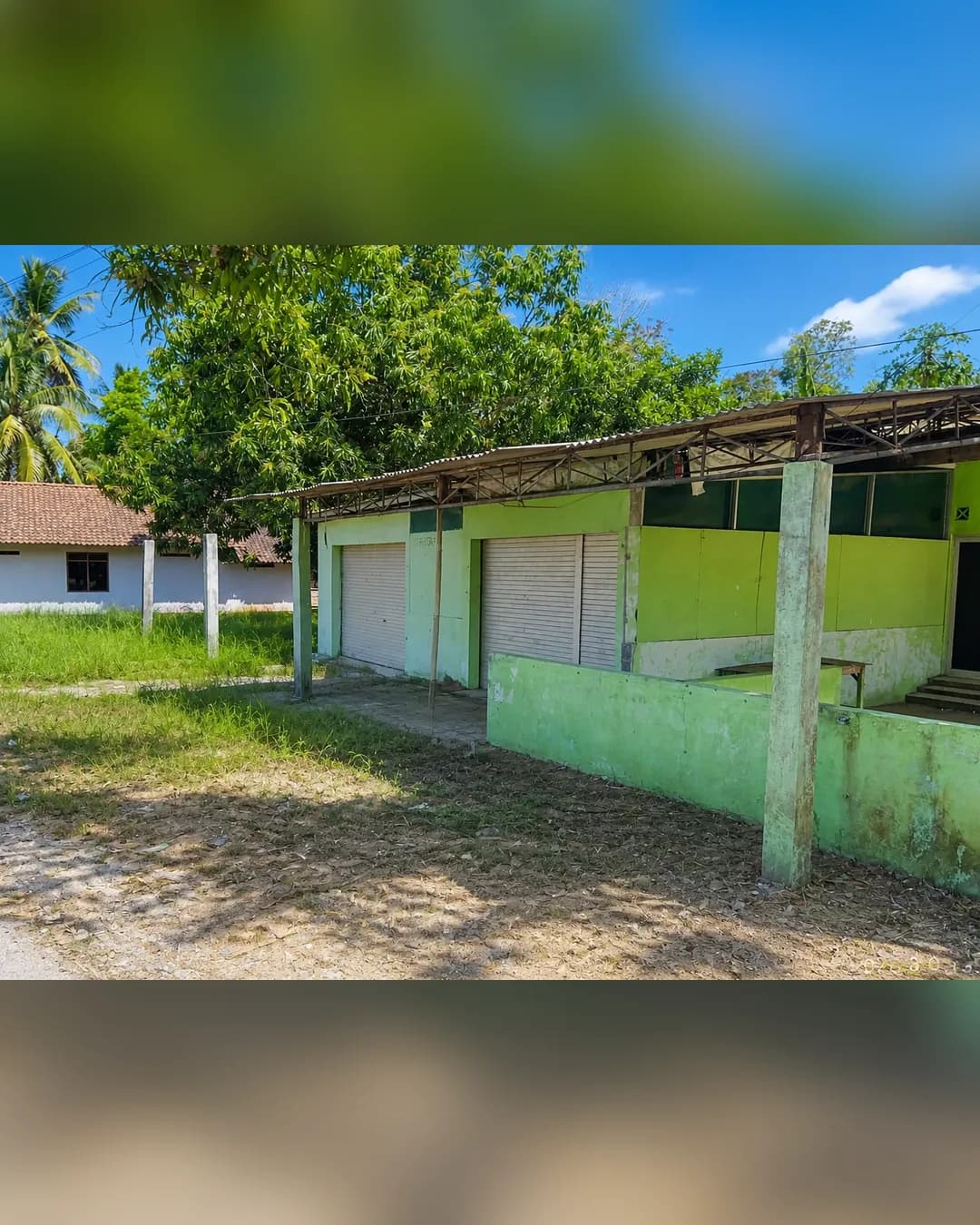 Foto 2 Tanah Dijual di Purwodadi di Purwodadi