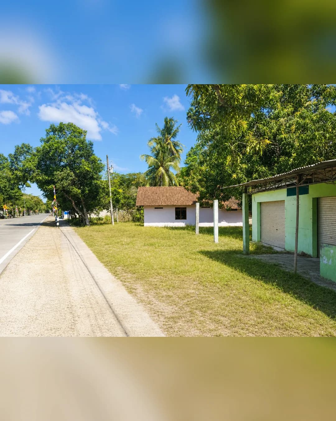 Foto utama Tanah Dijual di Purwodadi di Purwodadi