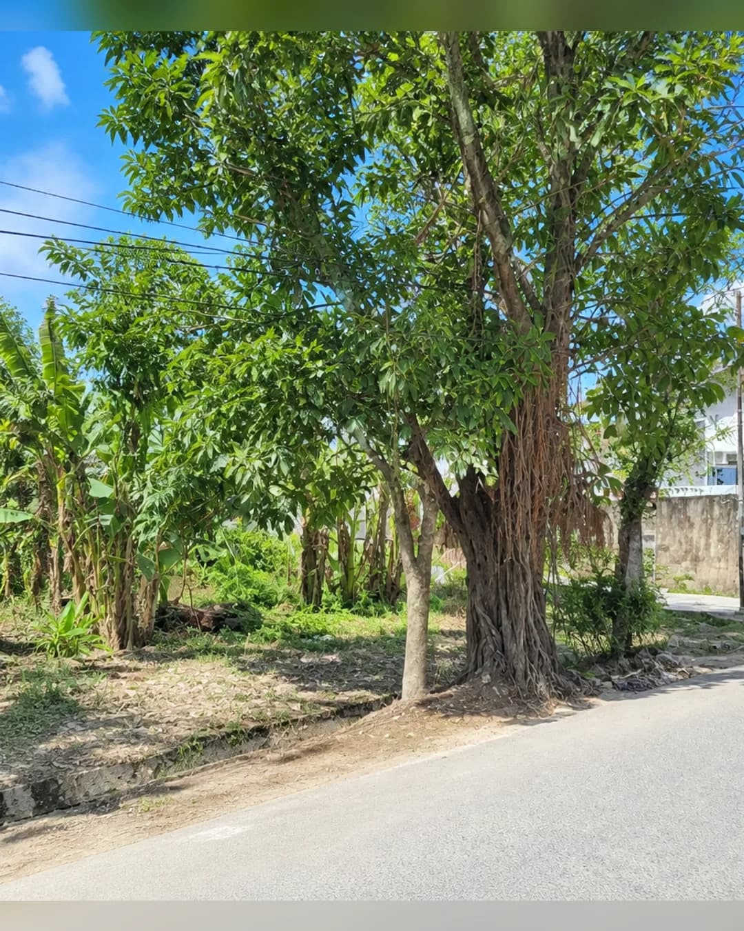 Foto 3 Tanah Dijual di Medan Tembung di Medan Tembung