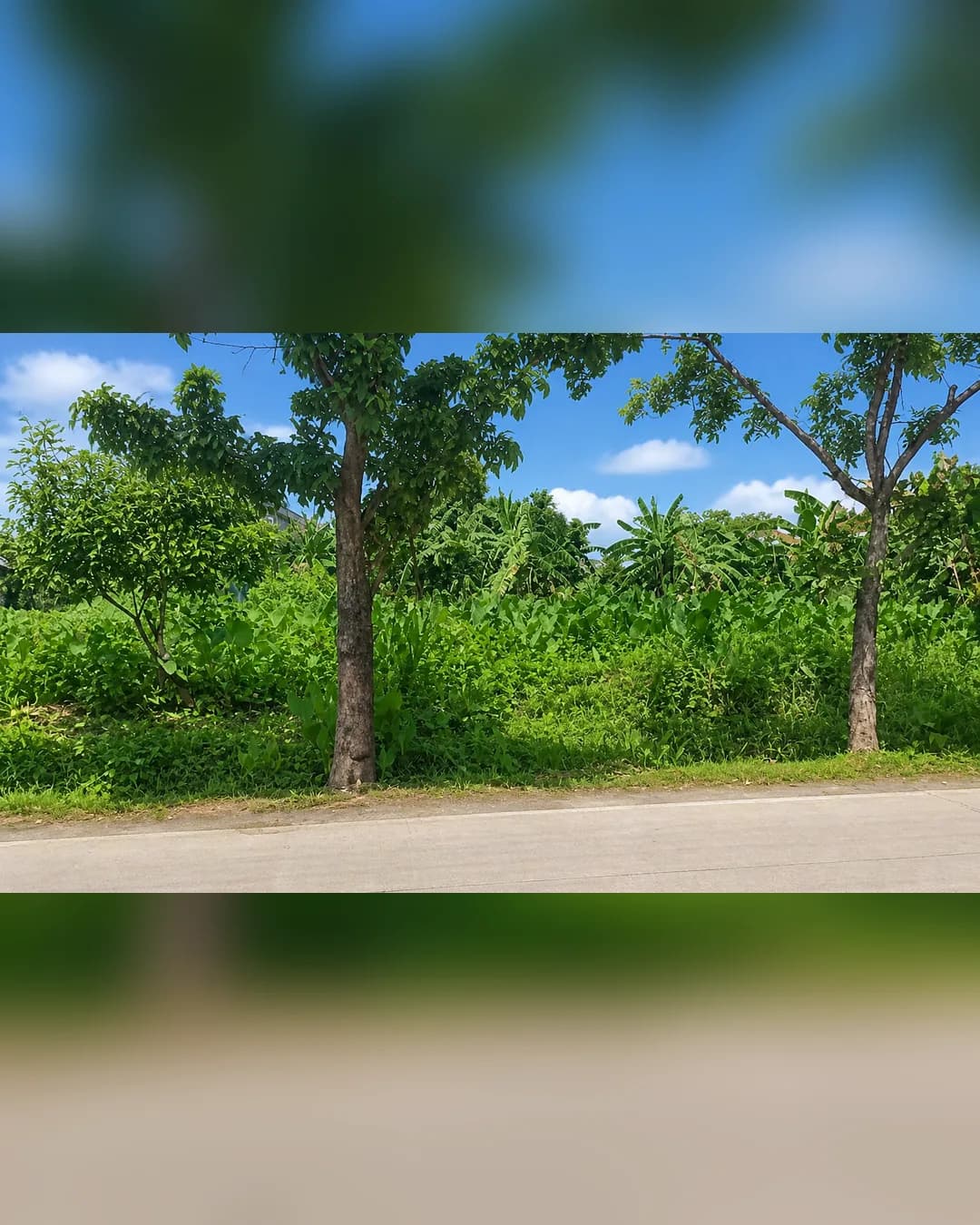 Foto 4 Tanah Dijual di Medan Tembung di Medan Tembung