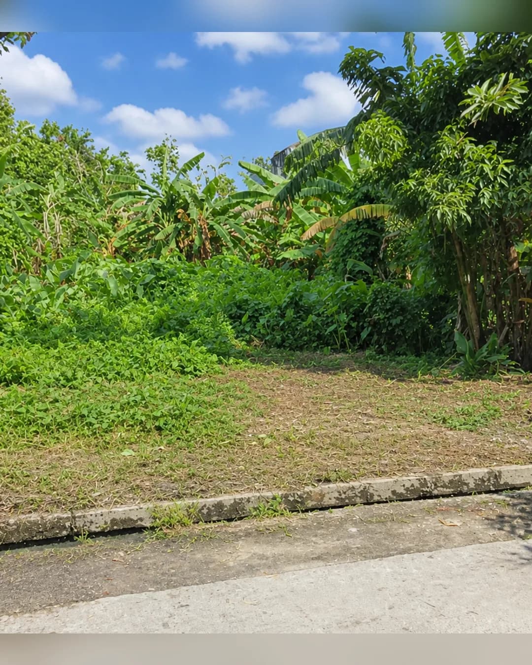 Foto 5 Tanah Dijual di Medan Tembung di Medan Tembung
