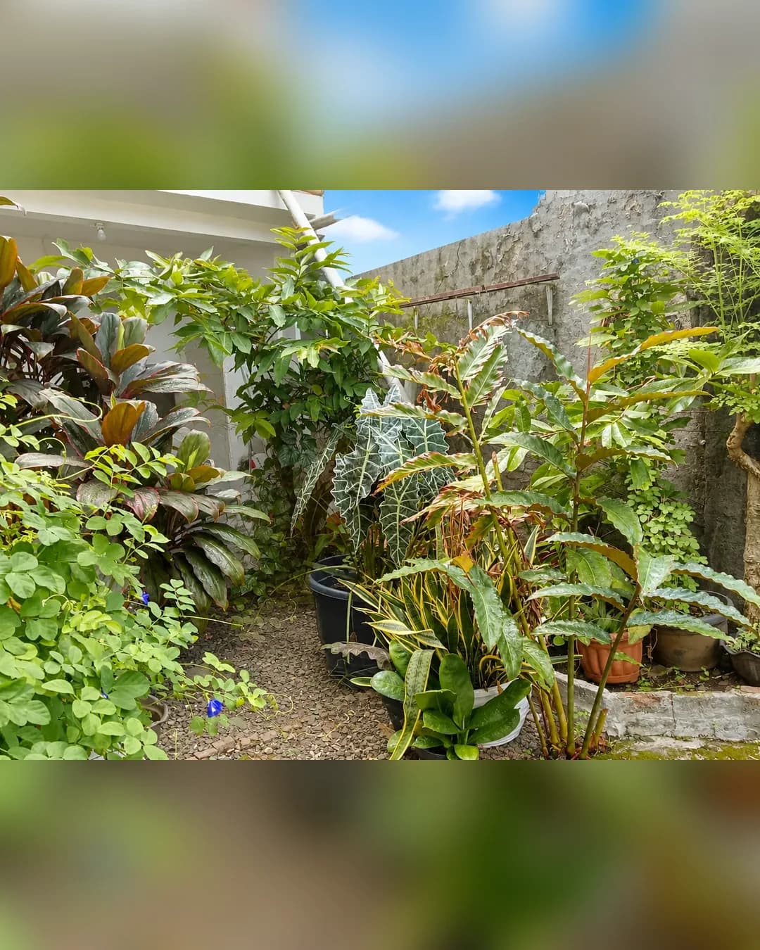 Foto 3 Rumah Asri dengan Lantai Mezzanine di Pondok Gede di Pondok Gede