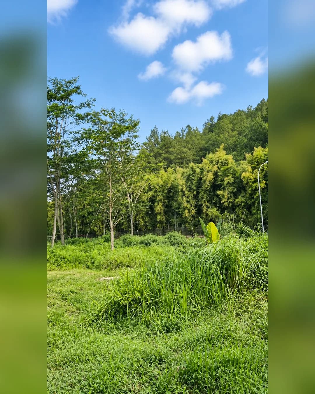 Foto 5 Tanah Dijual di Borobudur di Borobudur