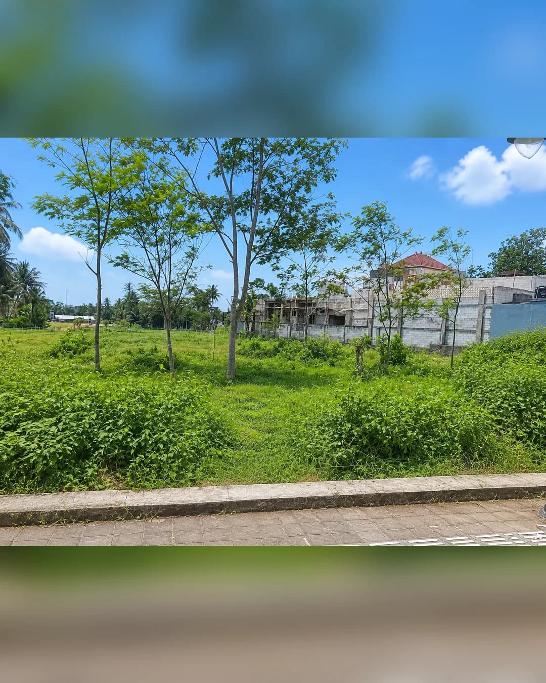 Foto 4 Tanah Dijual di Borobudur di Borobudur