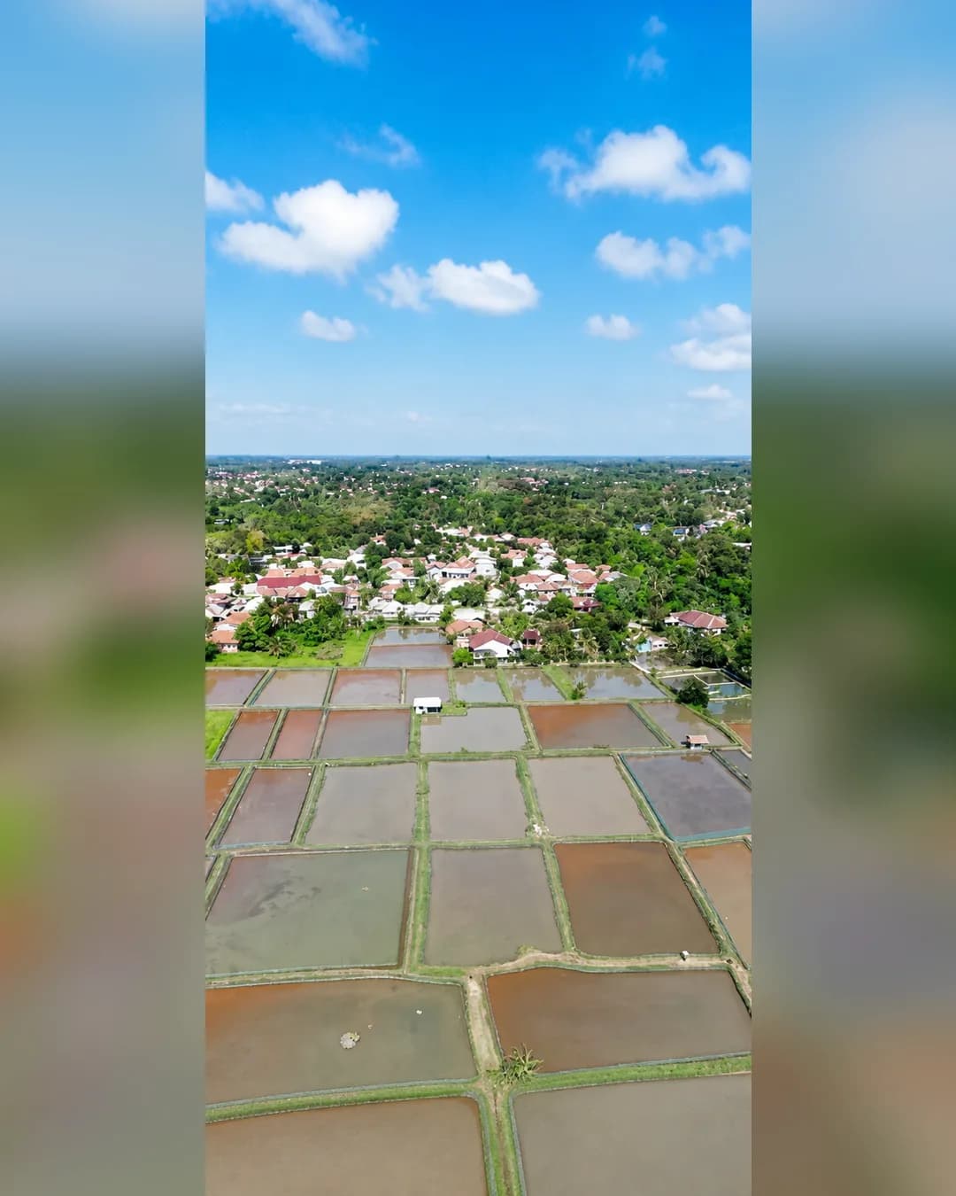 Foto 4 Tanah Kolam Empang Dijual di Ciseeng di Ciseeng