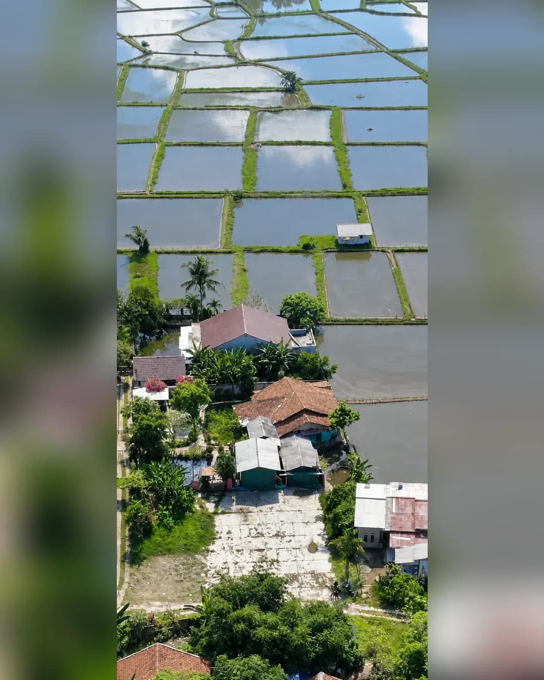 Foto utama Tanah Kolam Empang Dijual di Ciseeng di Ciseeng