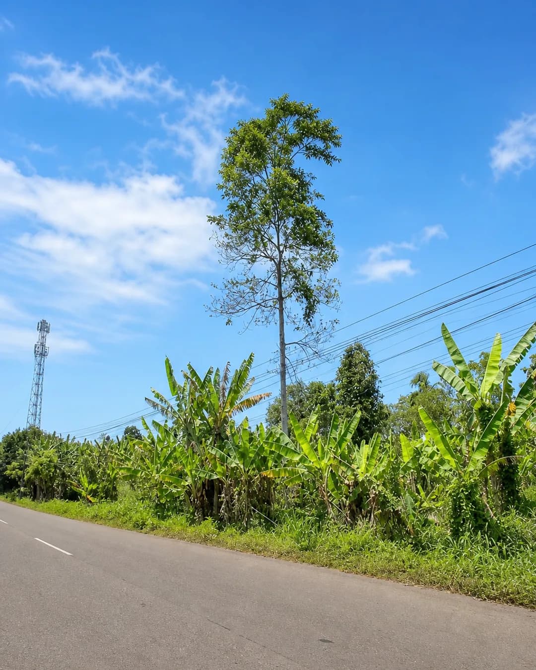 Foto 3 Tanah Dijual di SIDAMUKTI di Baros