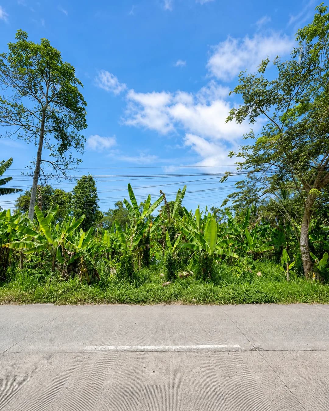 Foto utama Tanah Dijual di SIDAMUKTI di Baros