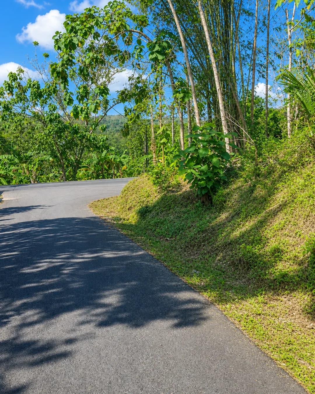 Foto 3 Tanah Dijual di Pathuk di Pathuk