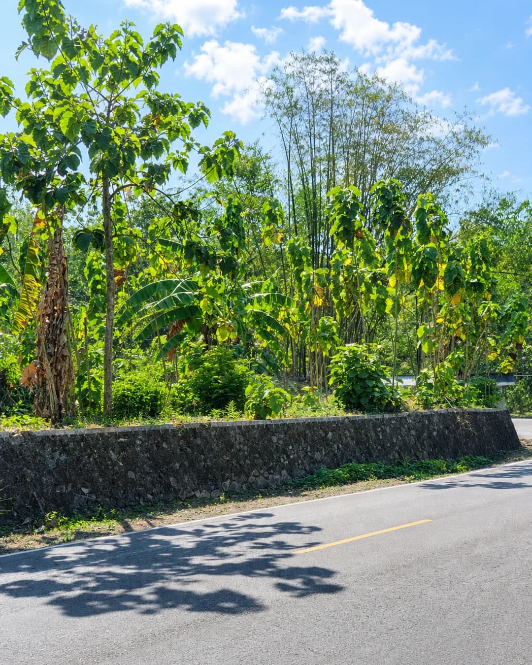 Foto 4 Tanah Dijual di Pathuk di Pathuk